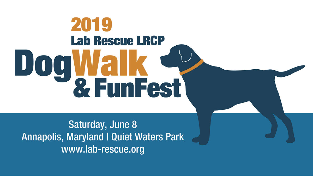 Lab Rescue - Lab Rescue Dog Walk and FunFest 2019.jpg